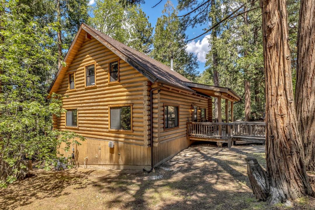 Photo of Others in Idyllwild