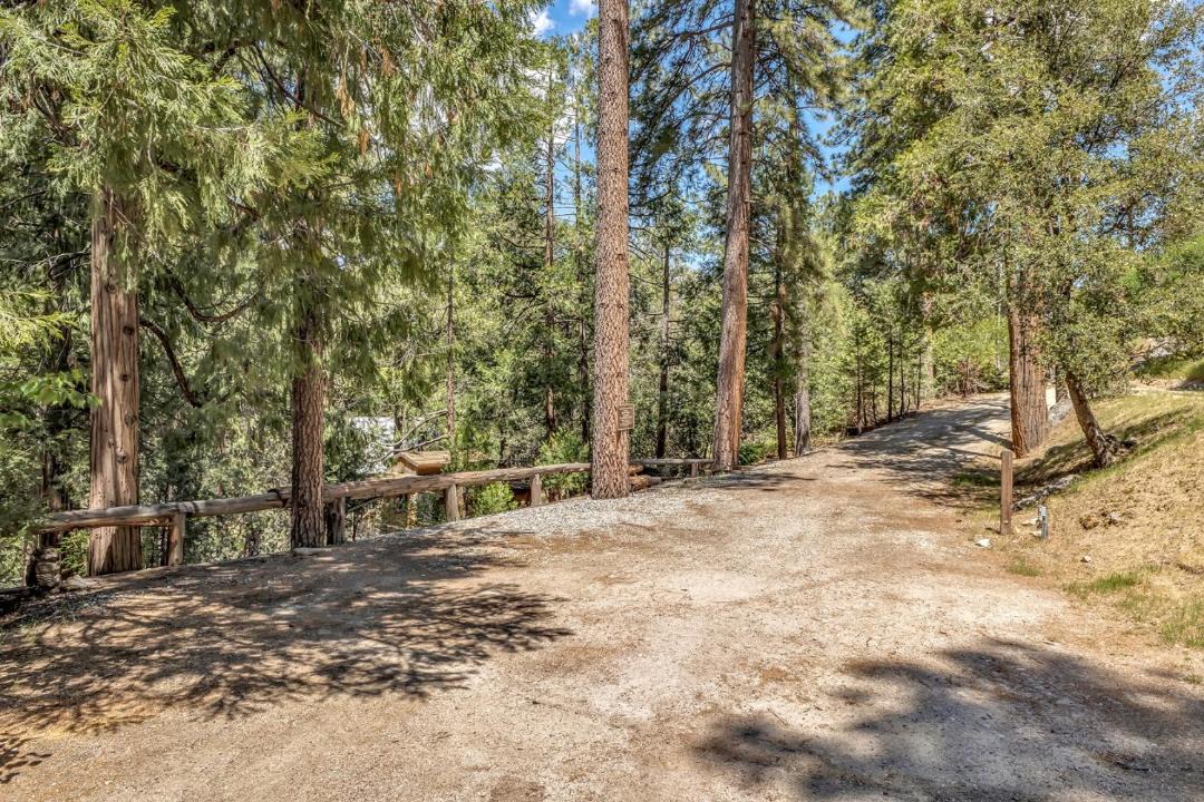 Photo of Others in Idyllwild