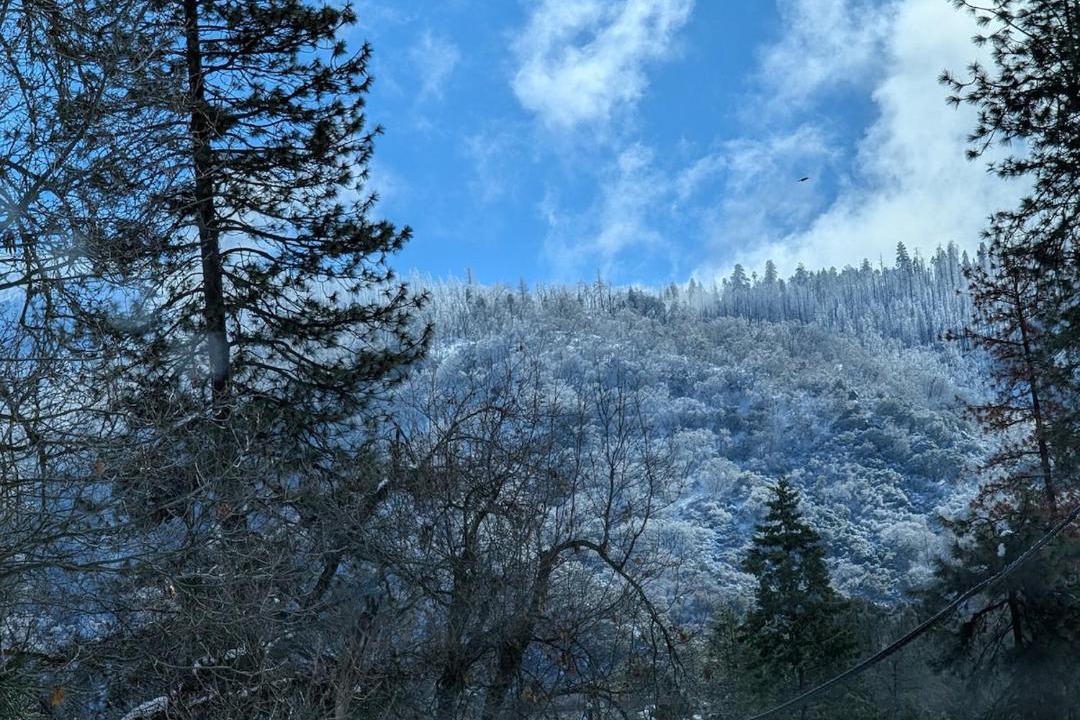 Photo of Others in California Hot Springs