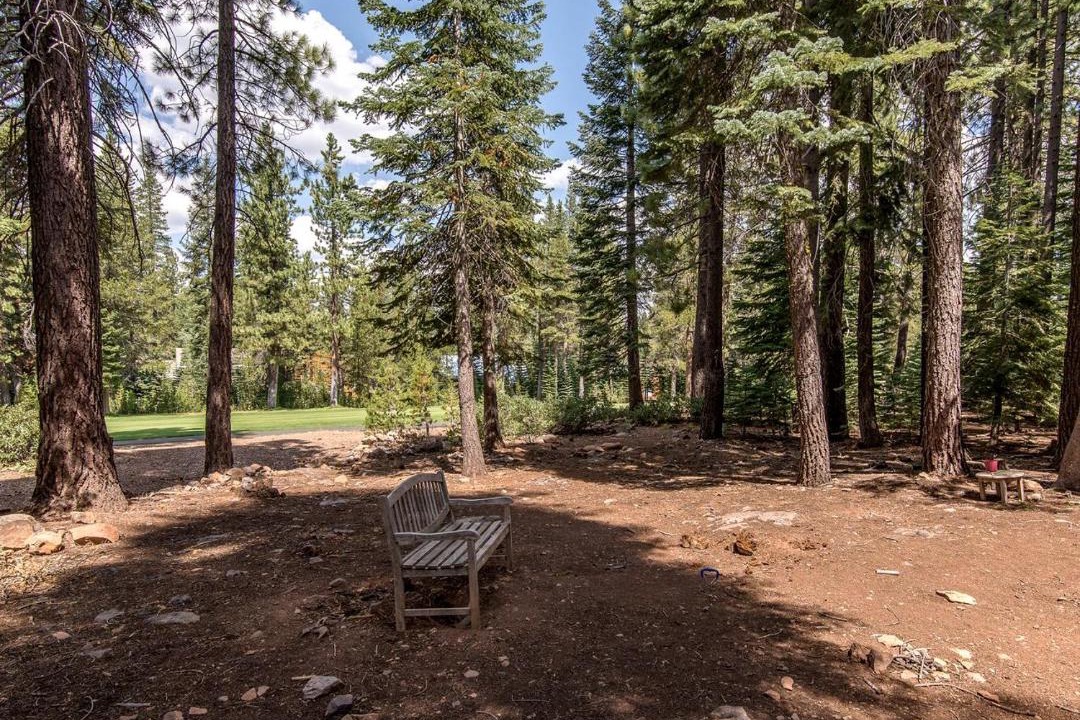 Photo of Others in Truckee