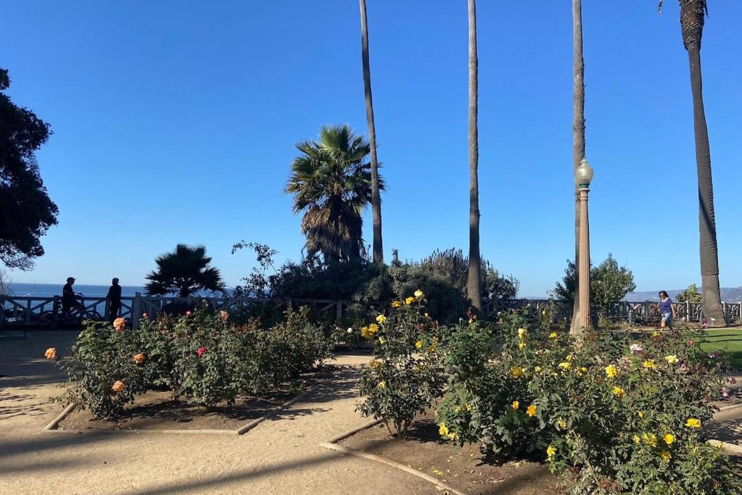 Photo of Others in Sunset Park
