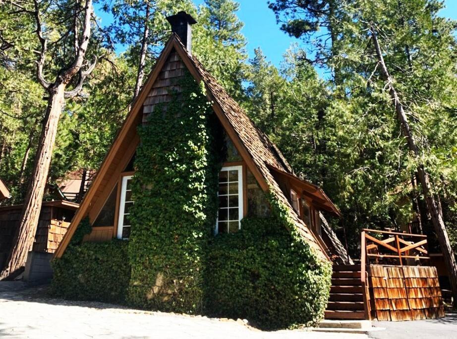 Photo of Others in Idyllwild