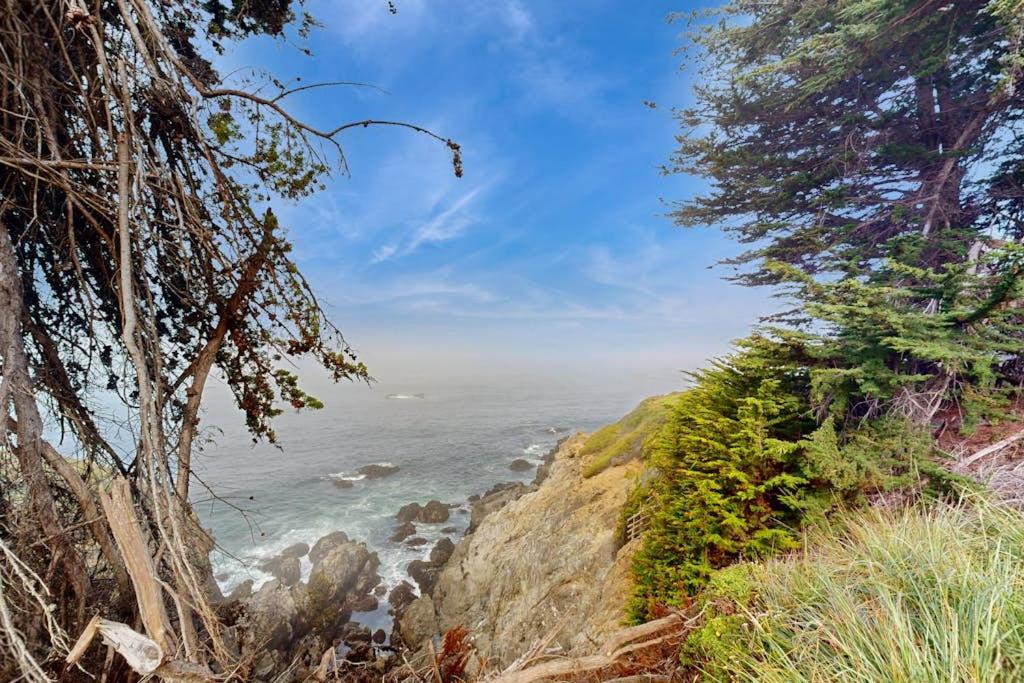 Photo of Others in Stewarts Point