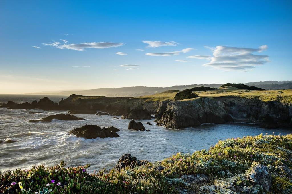Photo of Others in Stewarts Point
