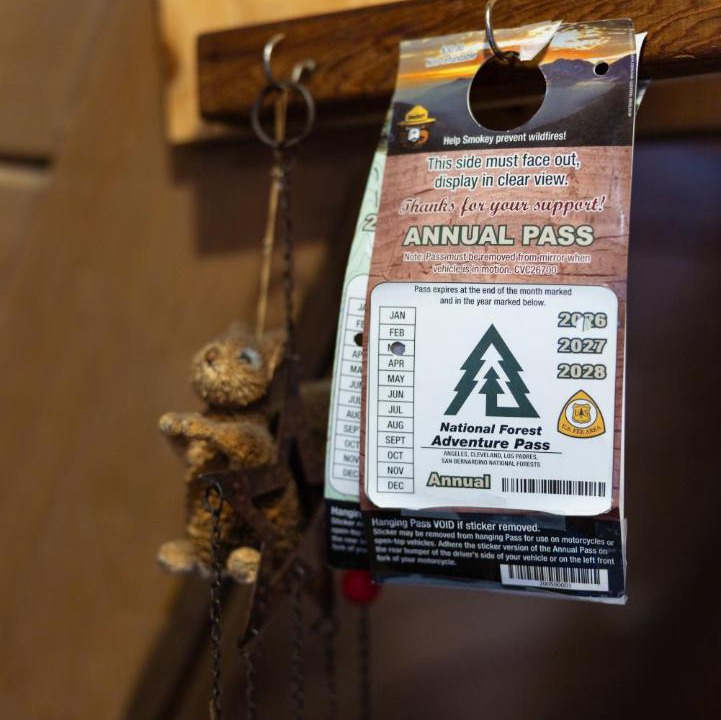 Photo of Others in Idyllwild
