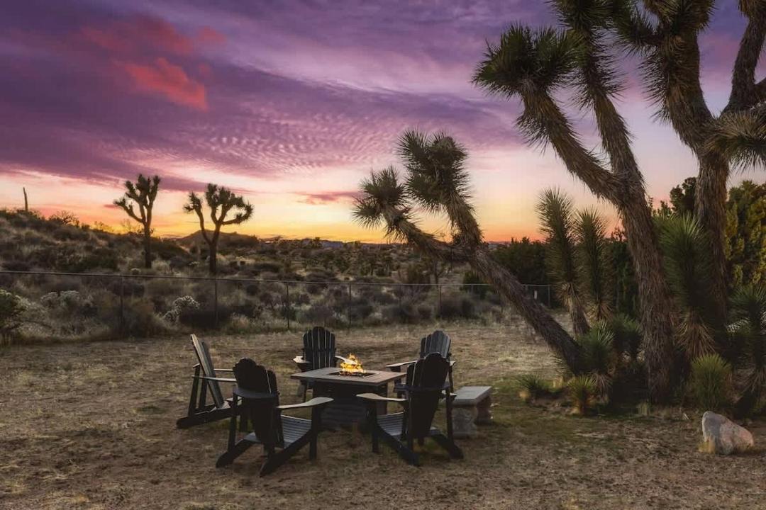 Photo of Others in Yucca Valley