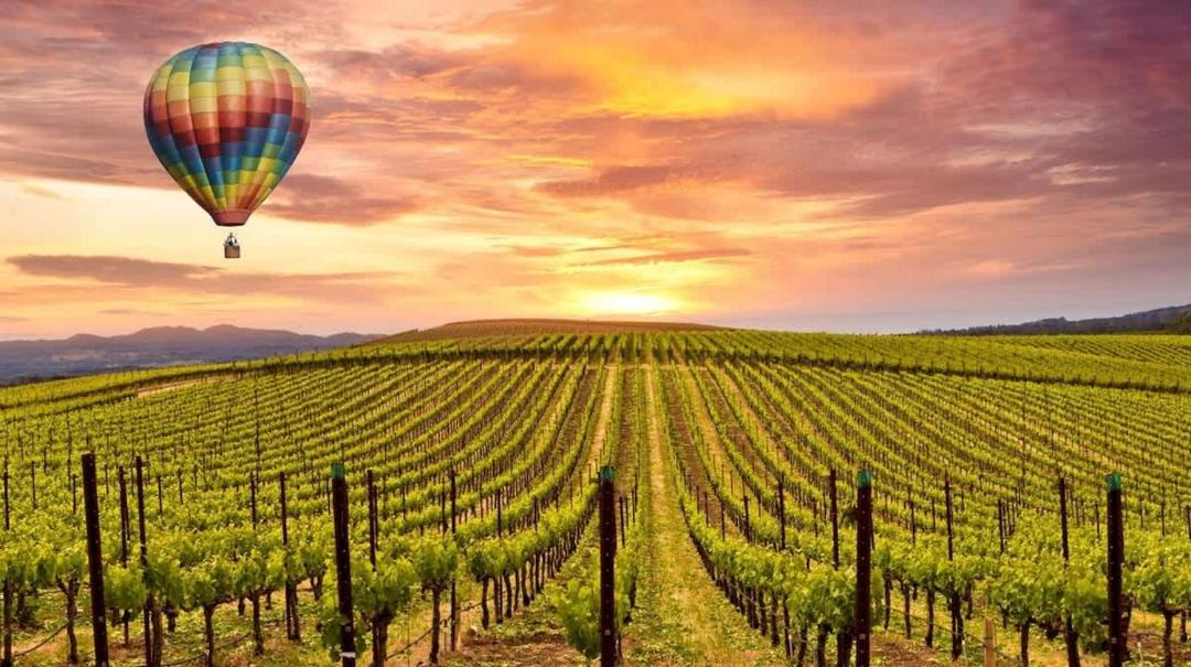 Photo of Others in Napa