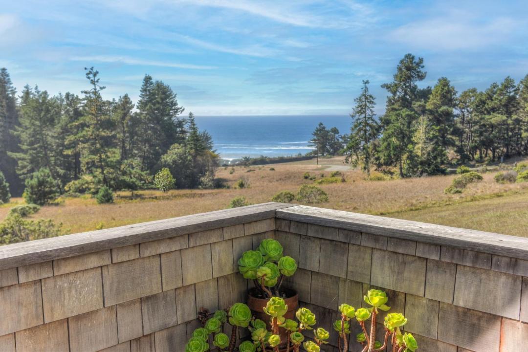 Photo of Others in Sea Ranch