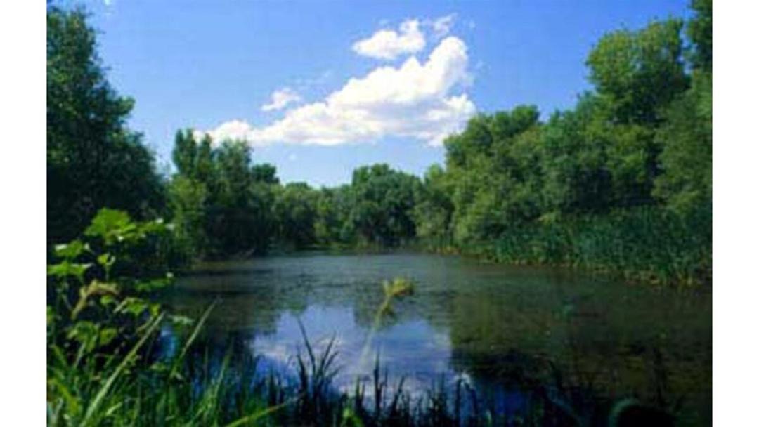 Photo of Others in Yavapai Hills