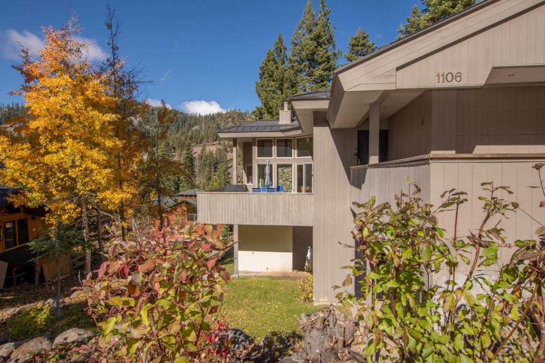 Photo of Others in Alpine Meadows