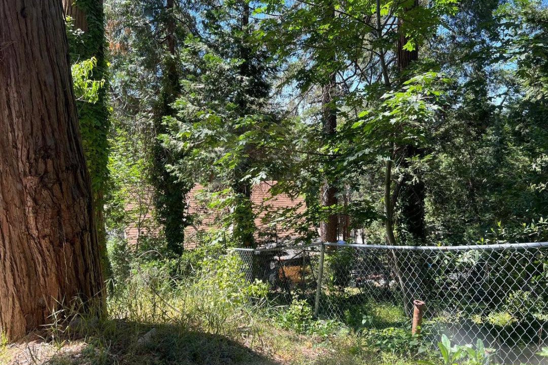 Photo of Others in Crestline