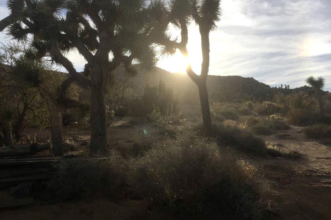 Photo of Others in Yucca Valley