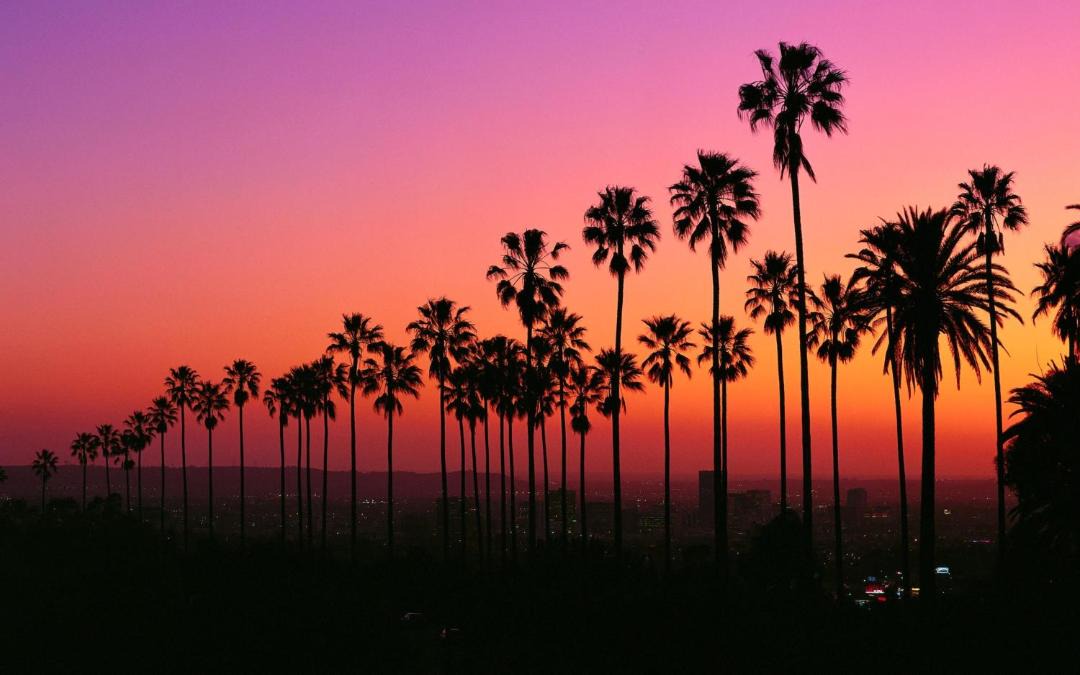 Photo of Others in Marina del Rey