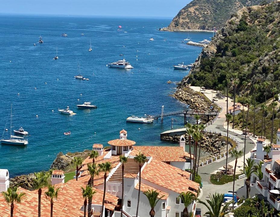 Photo of Others in Avalon