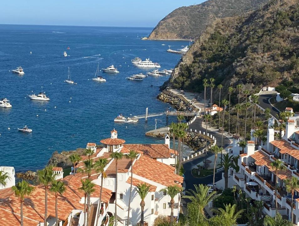Photo of Others in Avalon