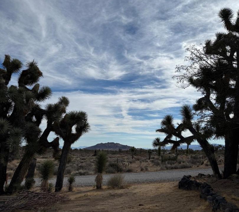 Photo of Others in Yucca Valley
