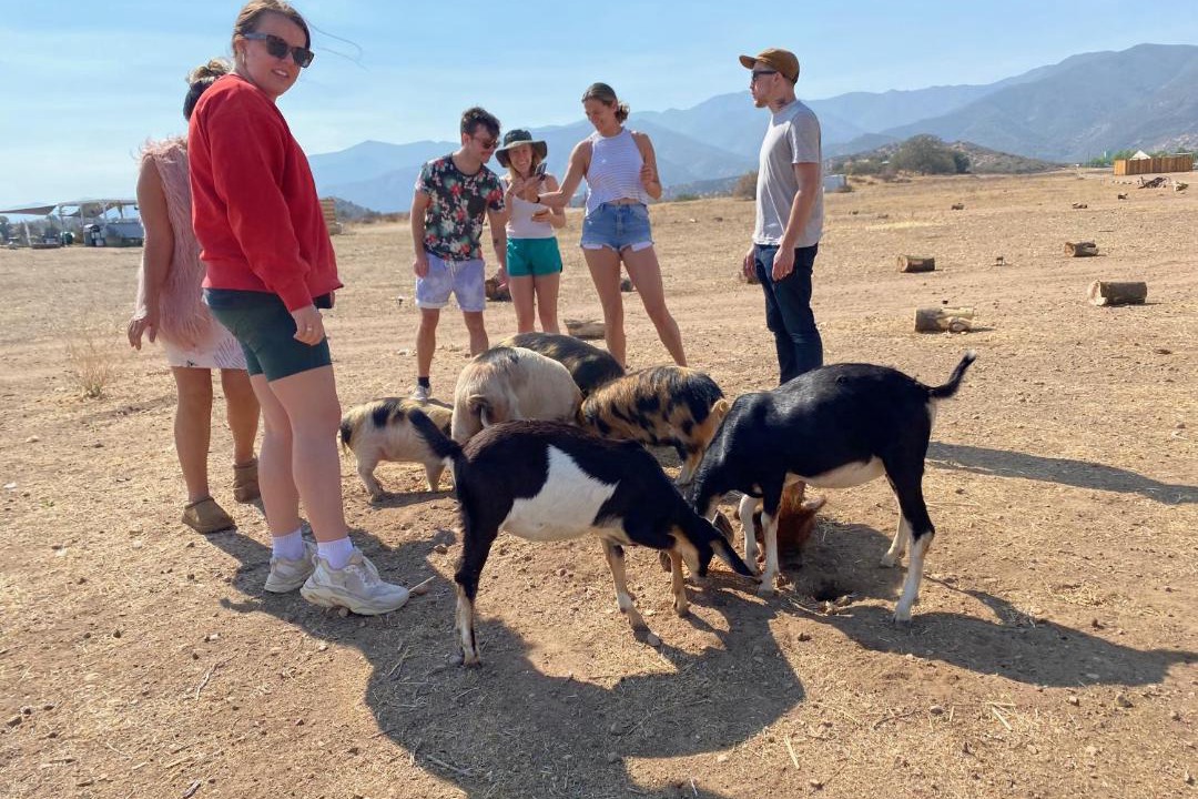 Photo of Others in New Cuyama