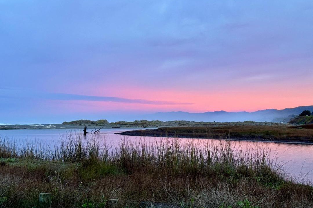 Photo of Others in Salmon Creek