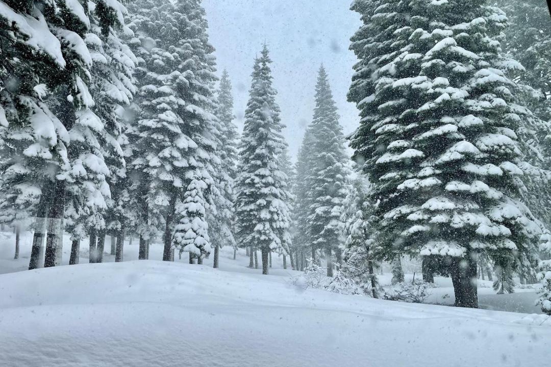 Photo of Others in Truckee