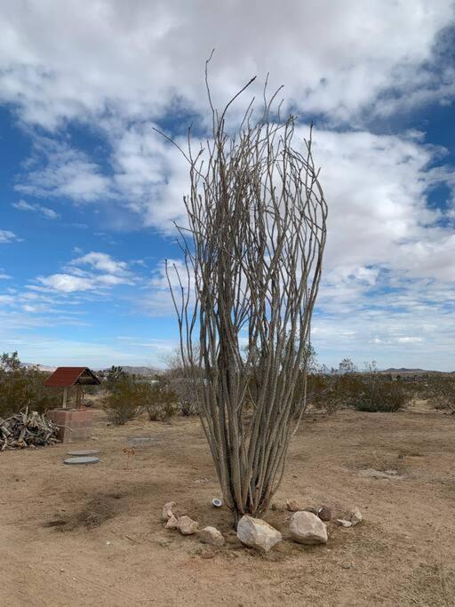 Photo of Others in Yucca Valley