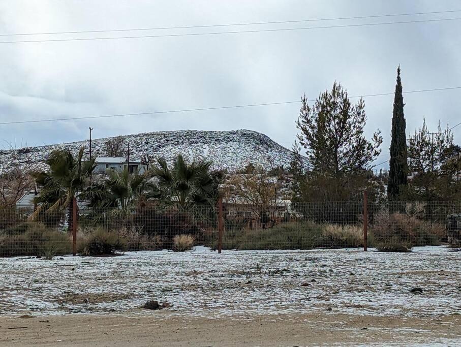 Photo of Others in Yucca Valley