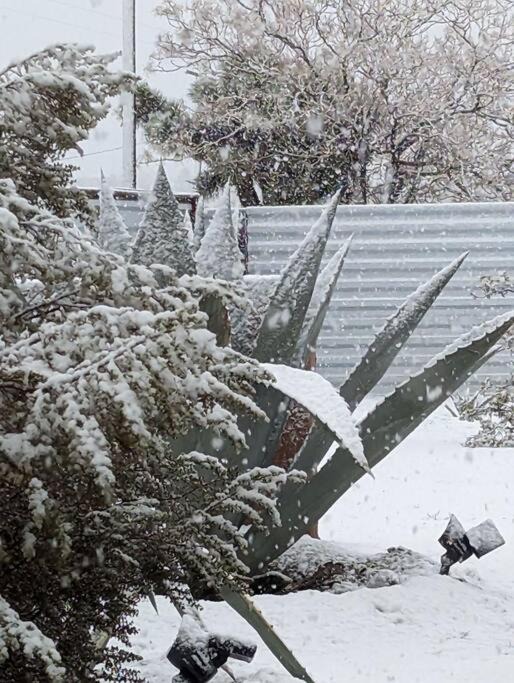 Photo of Others in Yucca Valley