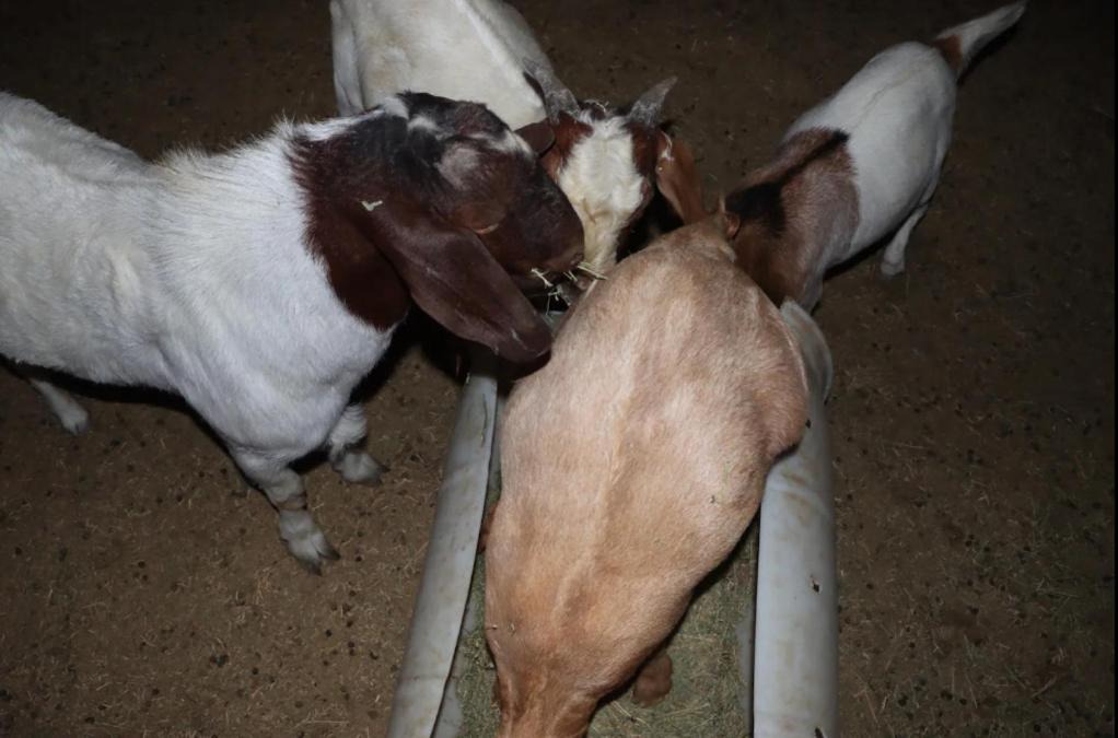Photo of Others in Hemet