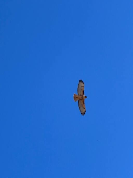 Photo of Others in Yuma