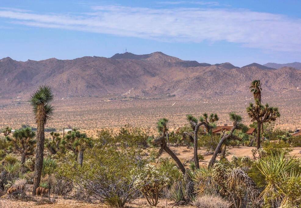 Photo of Outdoor in Yucca Valley