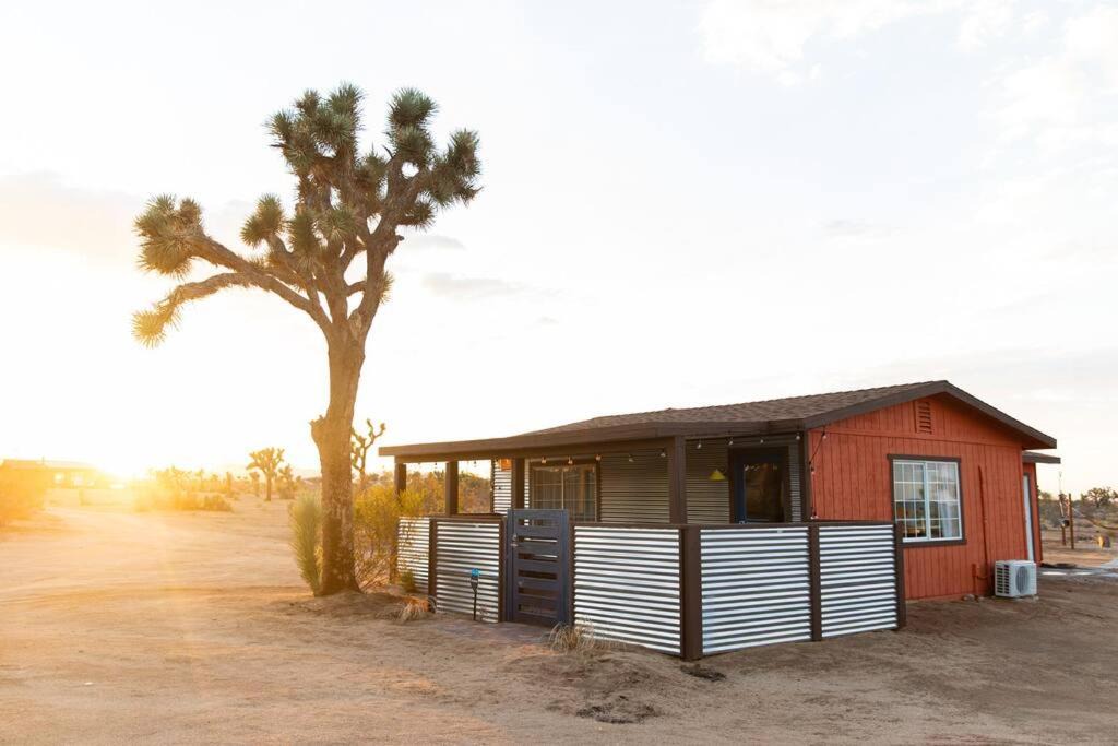 Photo of Buildings in Yucca Valley