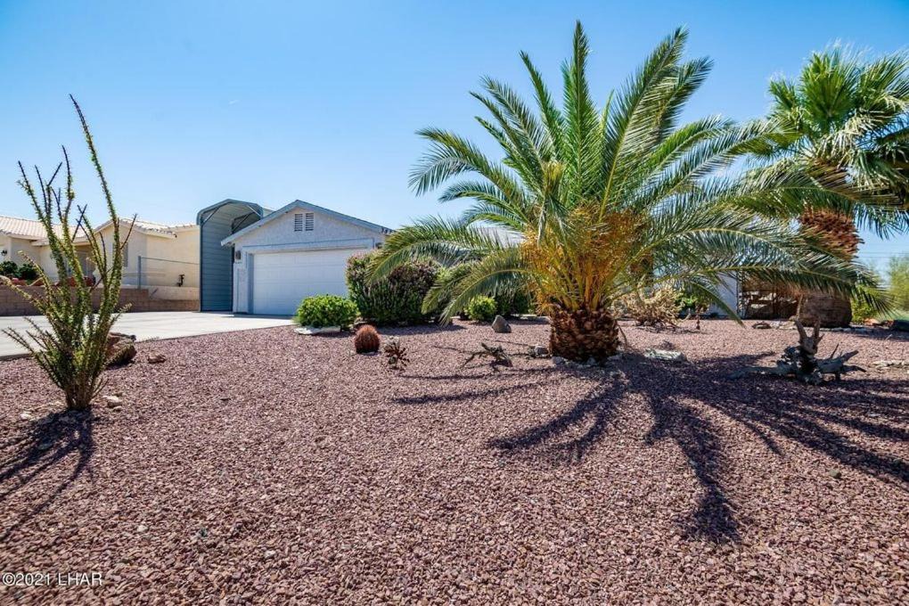 Photo of Others in Lake Havasu City