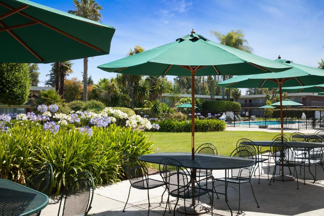 Photo of Others in Sunnyvale