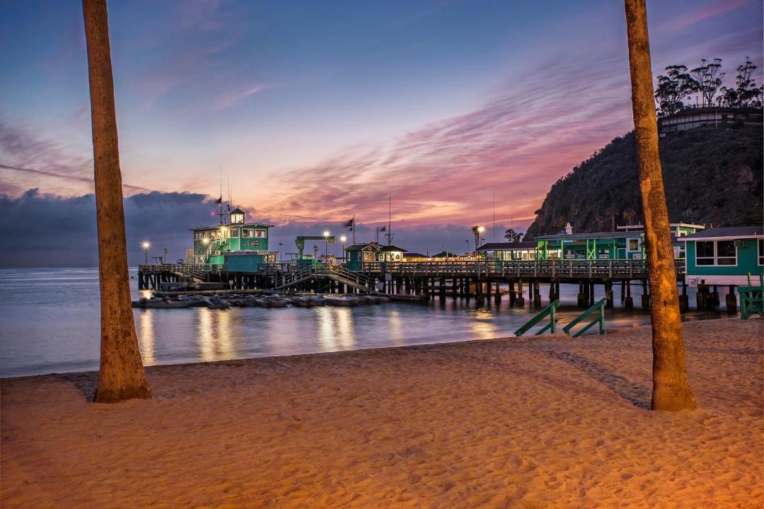 Photo of Others in Avalon