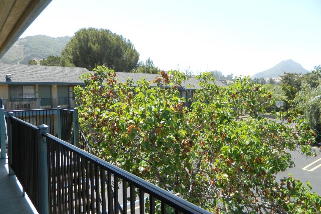 Photo of Others in San Luis Obispo