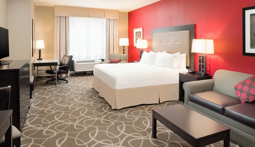 Standard Room, 1 King Bed with Sofa bed