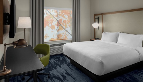 Room, 1 King Bed