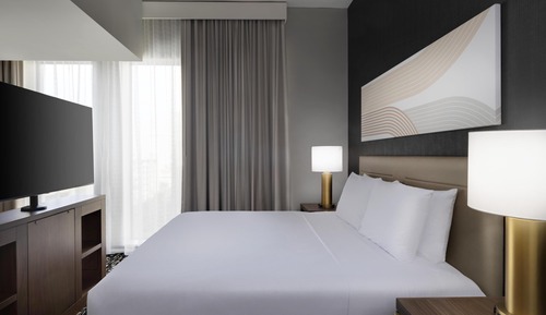 Studio Suite, 1 King Bed with Sofa bed