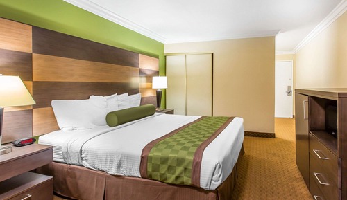 Standard Room, 1 King Bed, Non Smoking