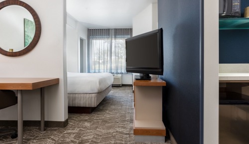 Suite, Multiple Beds, Hearing Accessible (Roll-in Shower & Transfer Shower)