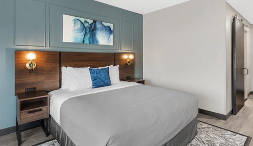 Standard Room, 1 King Bed, Non Smoking, Refrigerator & Microwave