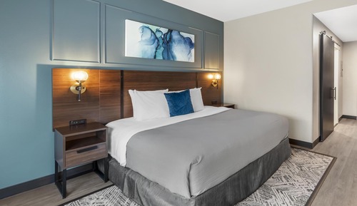 Standard Room, 1 King Bed, Accessible, Refrigerator & Microwave (Walk-in Shower)