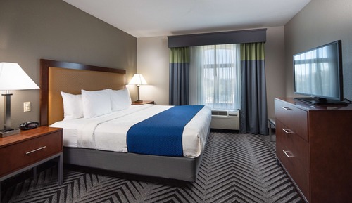 Suite, 1 King Bed, Non Smoking, Refrigerator & Microwave (with Sofabed)