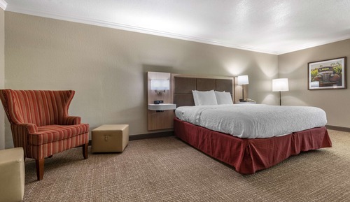 Room, 1 King Bed, Non Smoking