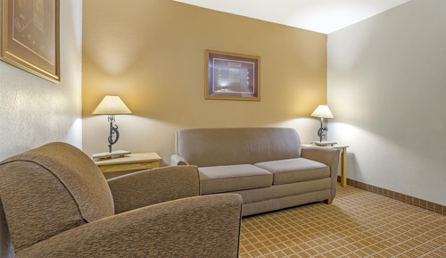 Standard Room, 1 King Bed, Accessible, Non Smoking (Walk-in Shower;with Sofabed)