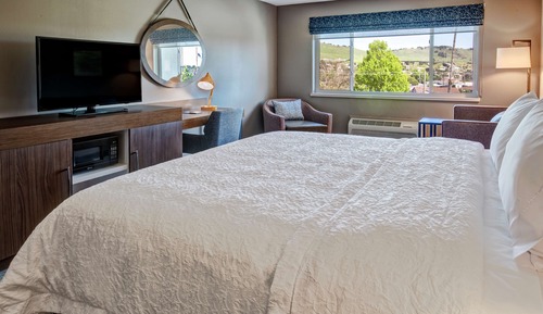 Room, 1 King Bed, Microwave