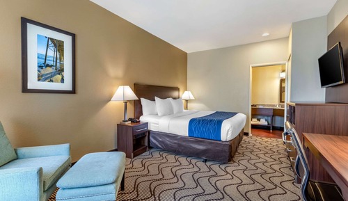 Standard Room, 1 King Bed Non Smoking