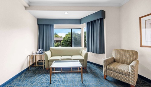 Standard Room, 1 King Bed, Accessible, Bathtub (with Sofabed)