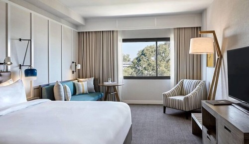Room, 1 King Bed