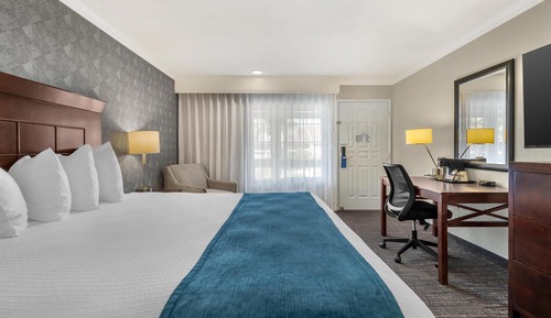 Standard Room, 1 King Bed, Accessible, Non Smoking