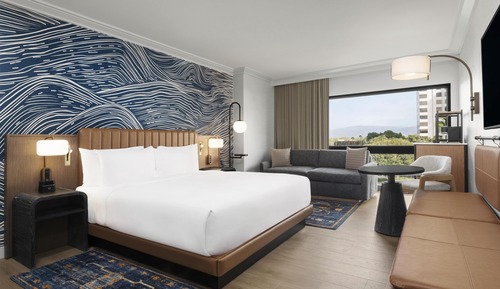 Room, 1 King Bed with Sofa bed